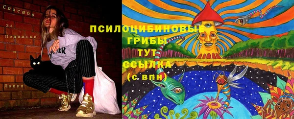 mix Карпинск