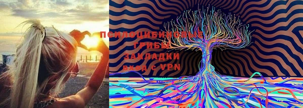 соль ск Киреевск